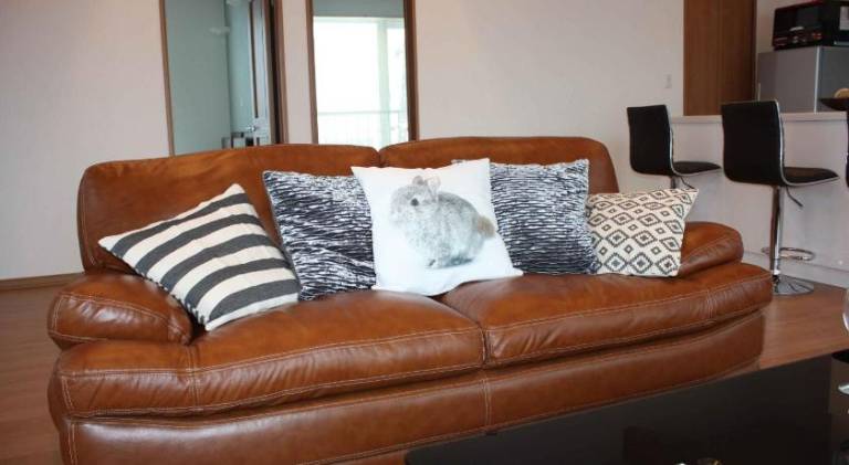 82 m² Ferienwohnung