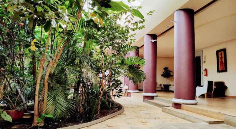 Hotel Jardines del Centro — photo 3