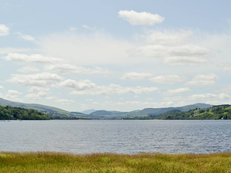 Cottage  Bala