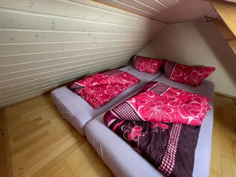 foto36