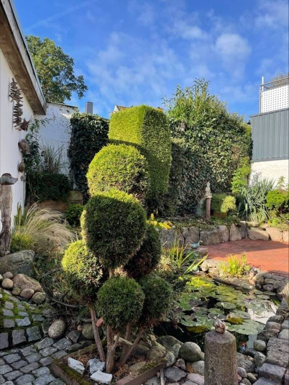 foto19