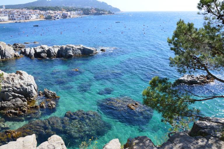 Apartamento Llafranc