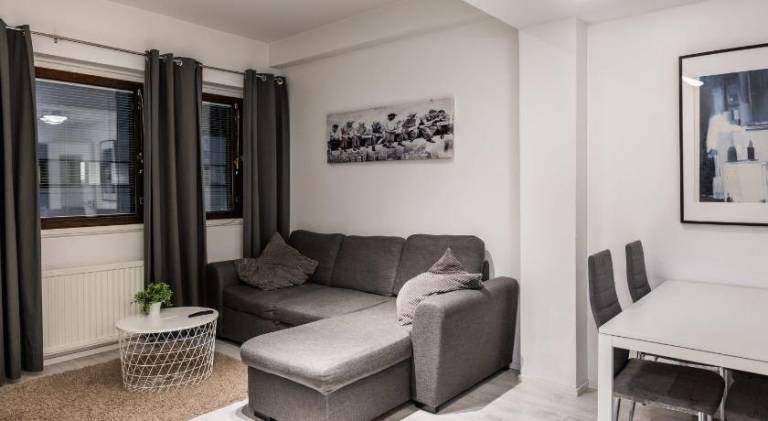 Rental apartment | Next to Arktikum Science Museum in Rovaniemi