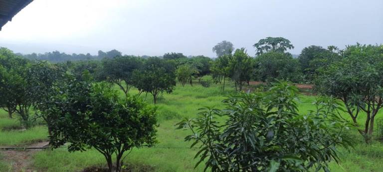 Farm with terrace — photo 5