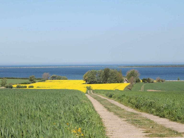 foto19