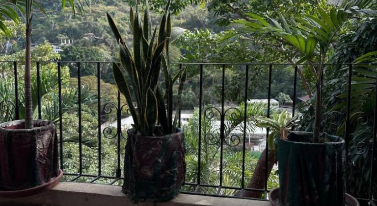 Holiday apartment with 1 room for 2 persons — photo 4