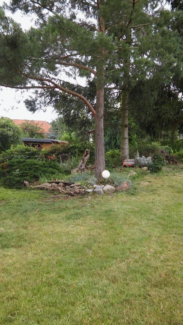 foto13
