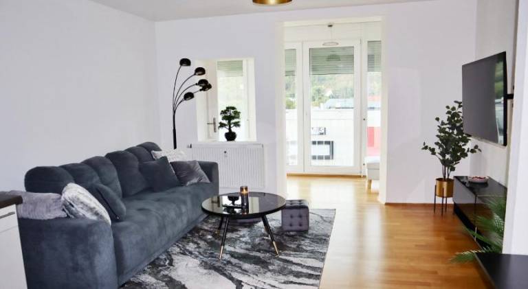Exklusives vollmobliertes Apartment im Herzen von Bad Mergentheim — photo 2