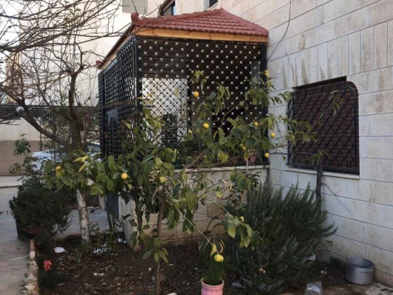 foto4