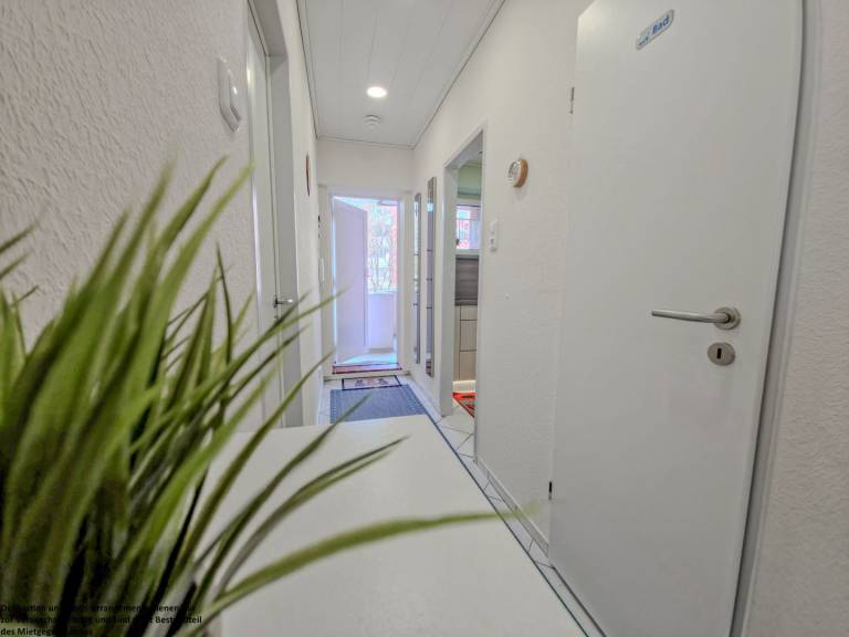 foto10