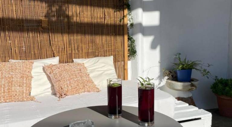 Apartment with patio & yard | Pets are welcome — photo 3
