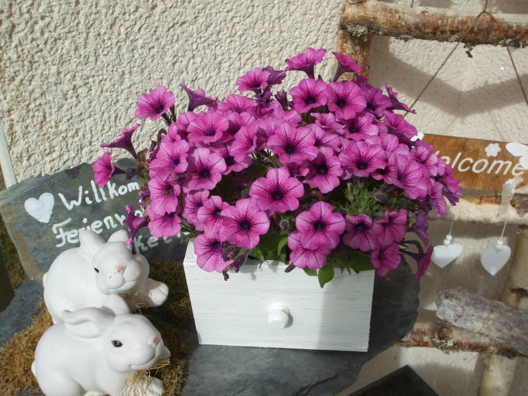foto21