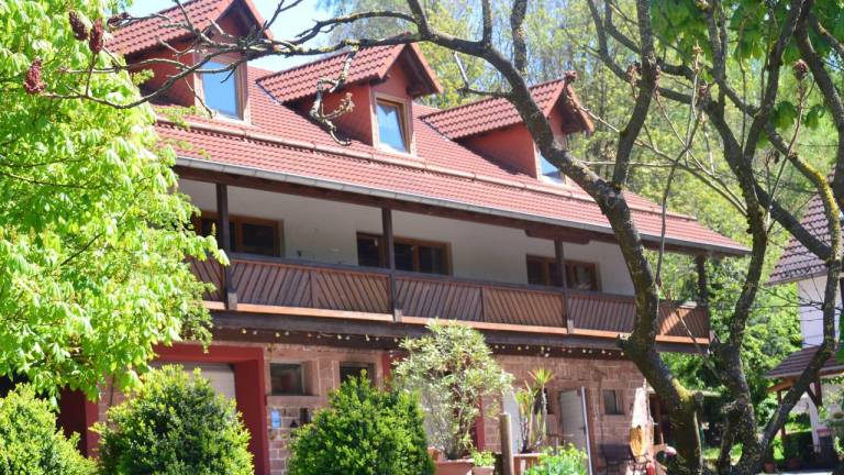 Ferienwohnung mit Hund in Falken-Gesäß, Beerfelden f&uuml;r max. 4 Personen