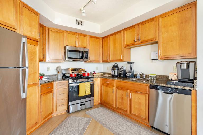 Downtown Silver Spring Walkable Metro Skyline Balcony Corner Suite Luxe Pad — photo 5