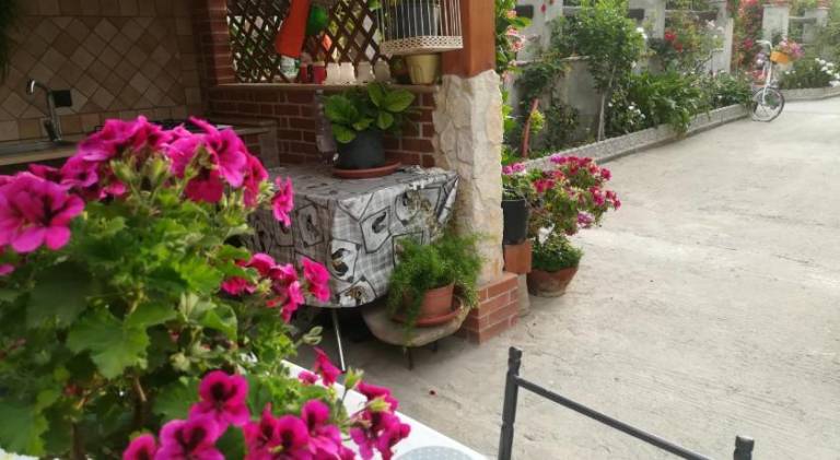 foto49
