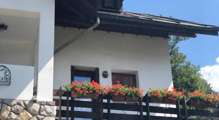 Nice apartment | Pets allowed in Belluno