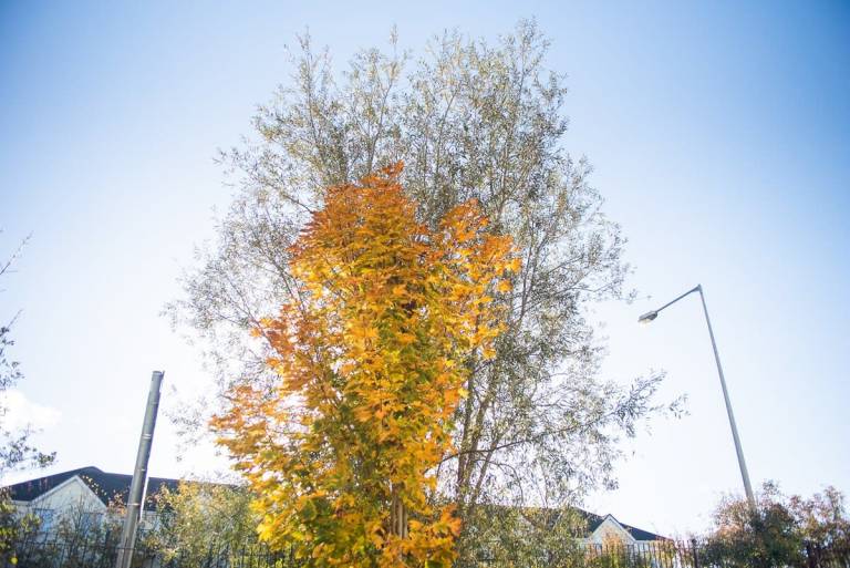 foto20