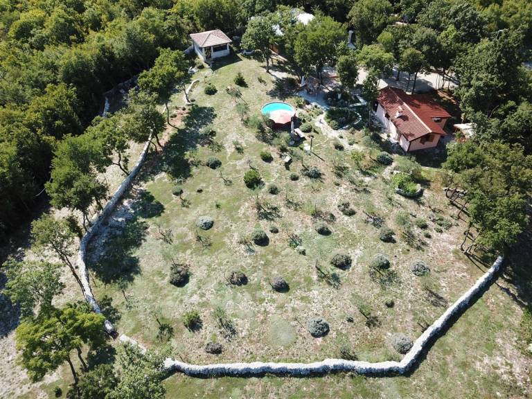 Family-oriented beautiful rental with barbeque, yard & pool | Pool view | Pets allowed — photo 2