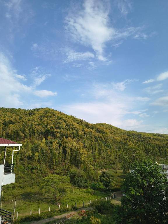 foto22
