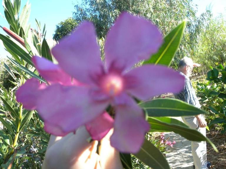 foto33