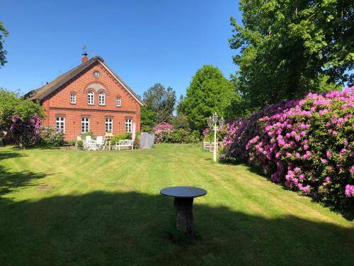foto20