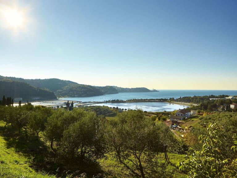Appartamento Portorose