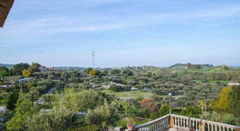 Lovely farm with pool, patio & yard | Pets are welcome — photo 4