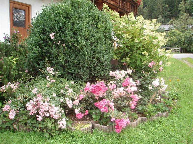 foto16