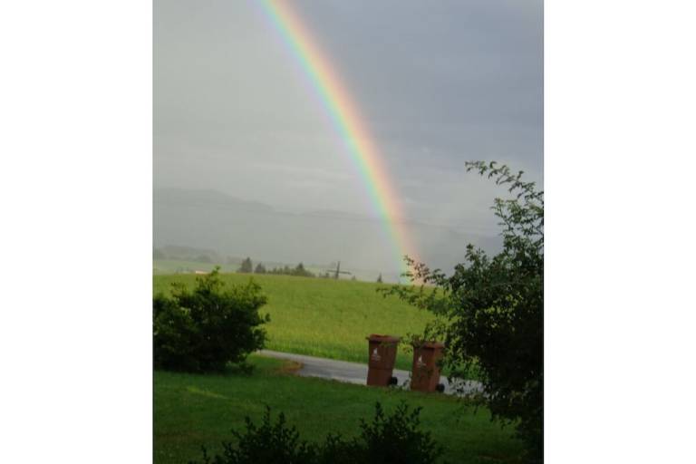 foto11