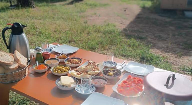 Lodge with patio, barbeque & yard — photo 4