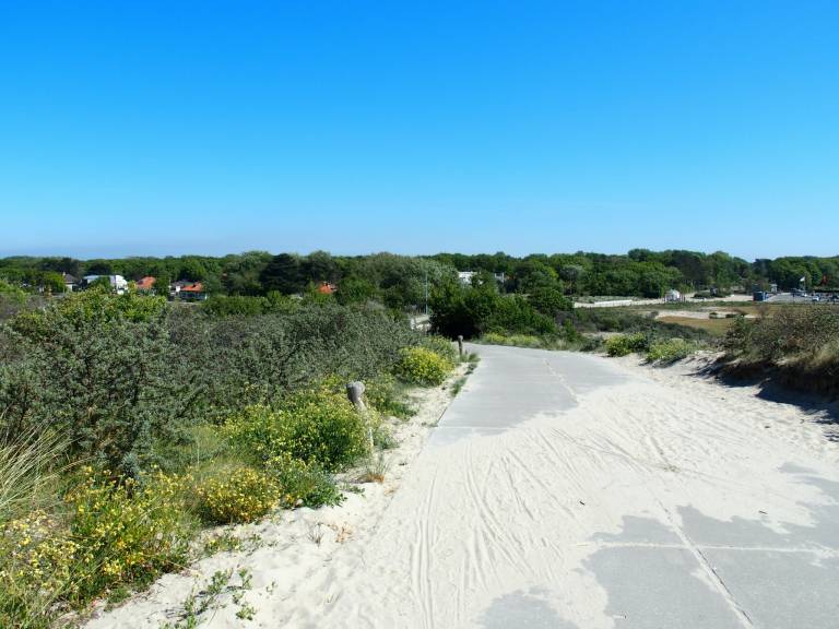 foto41