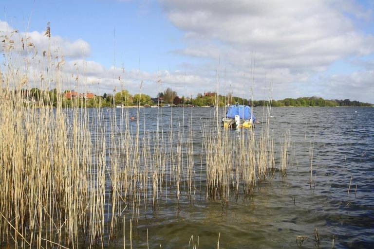 Ferienhaus Zarrentin am Schaalsee