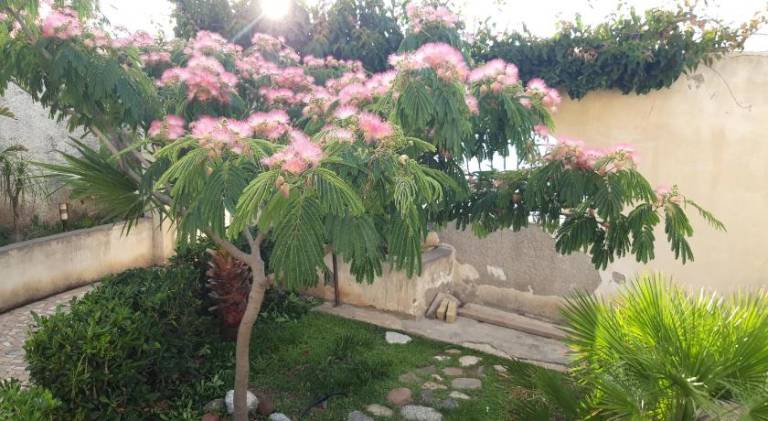 foto24