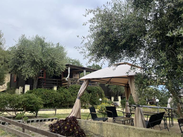 foto42