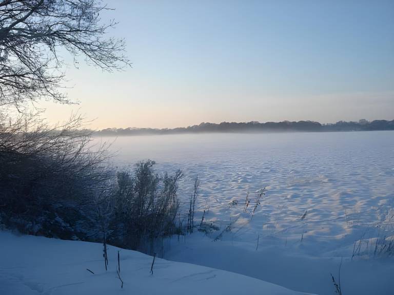 foto38