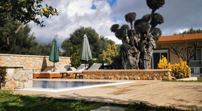 Villa with pool & jacuzzi — photo 4