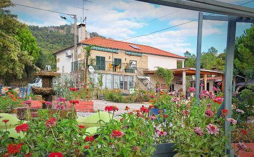Quarto (B&B)  Monsanto