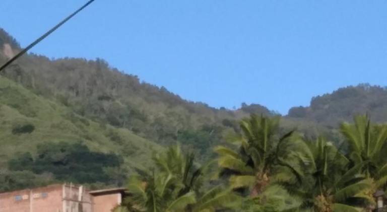 foto44