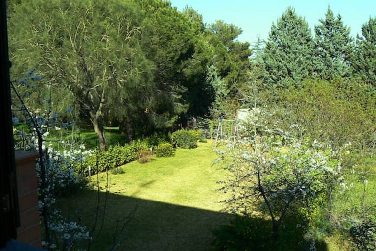 foto12
