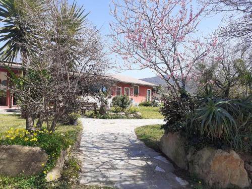 Casa Patti