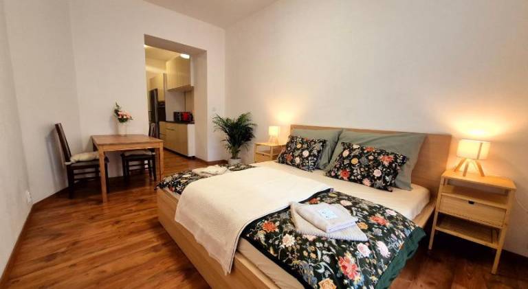 Apartment | Next to Špilberk Castle | Pets allowed — photo 2