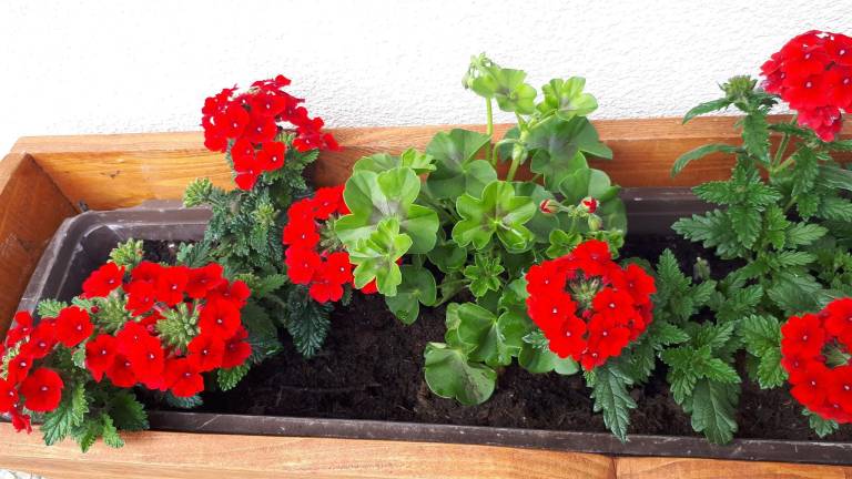 foto9