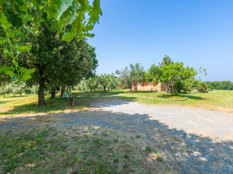 foto49