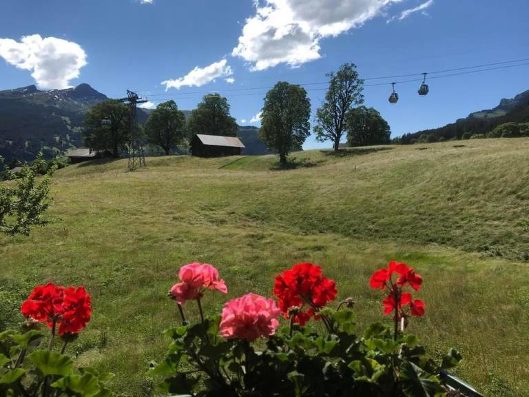foto18