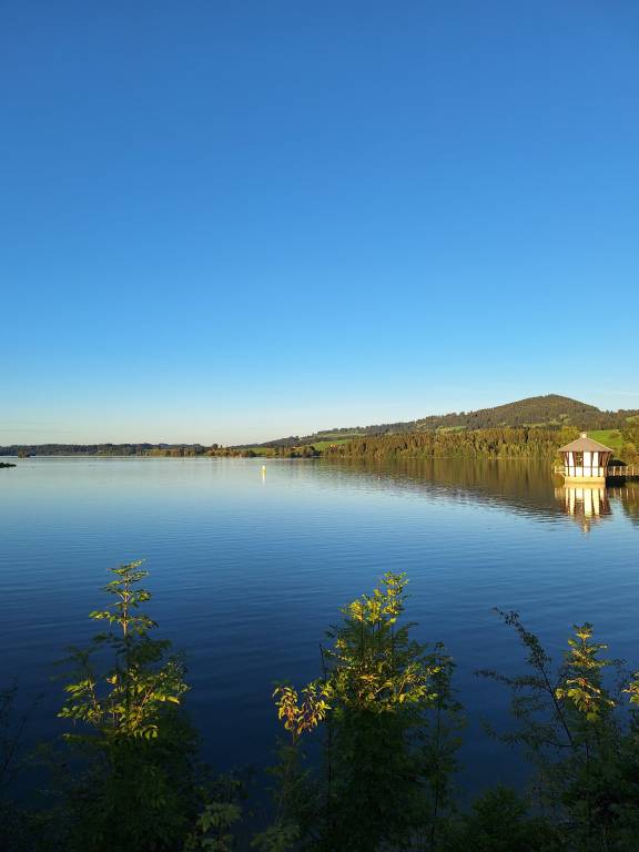 foto11