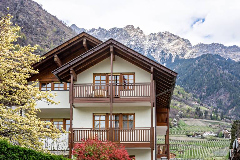 Holiday apartment with fast internet & garden | Mountain view | Suitable for remote work in Parcines