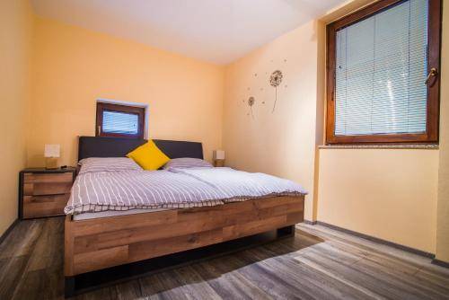 Apartma Luče
