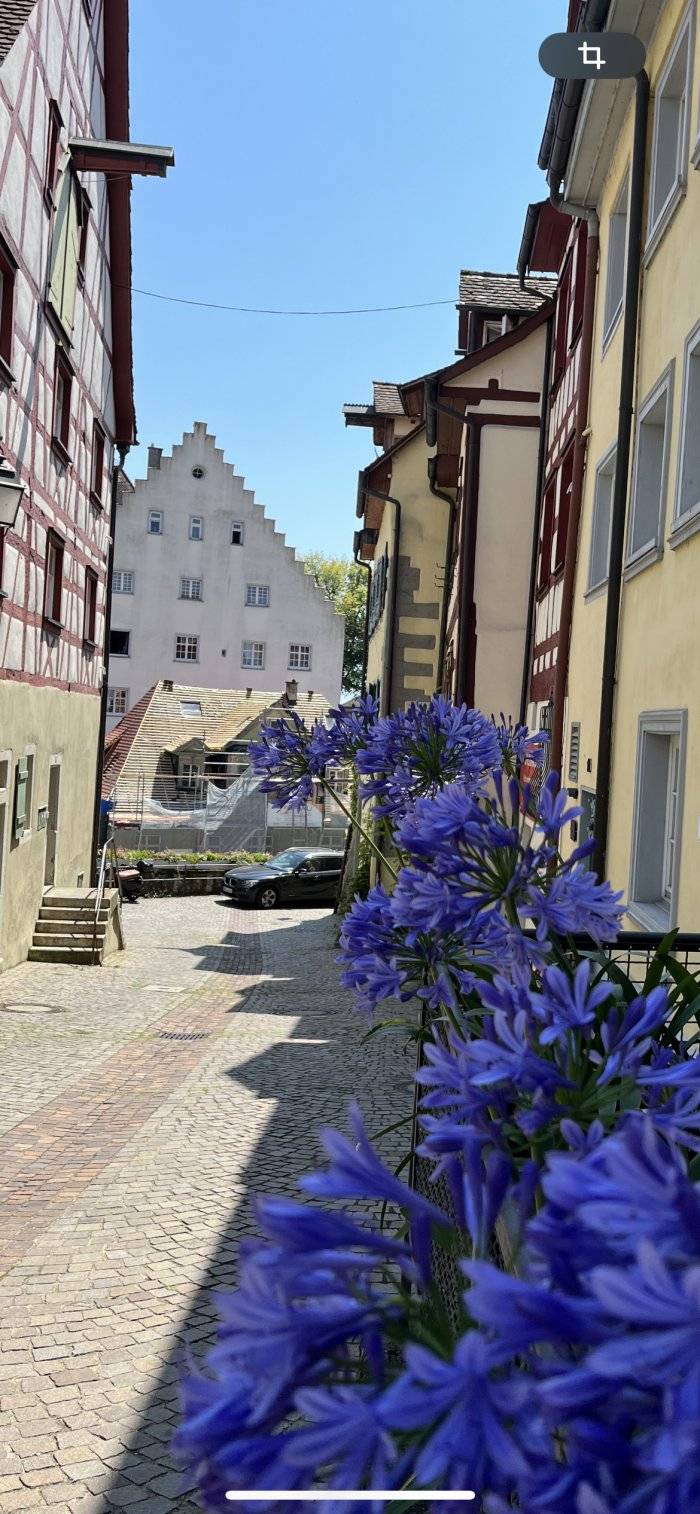 foto16