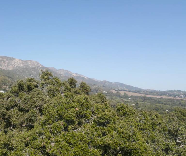 foto47