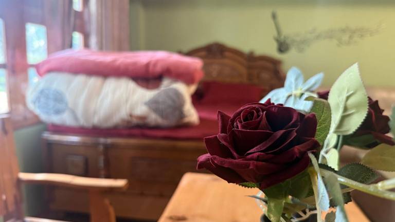 Bed and breakfast Kalpa